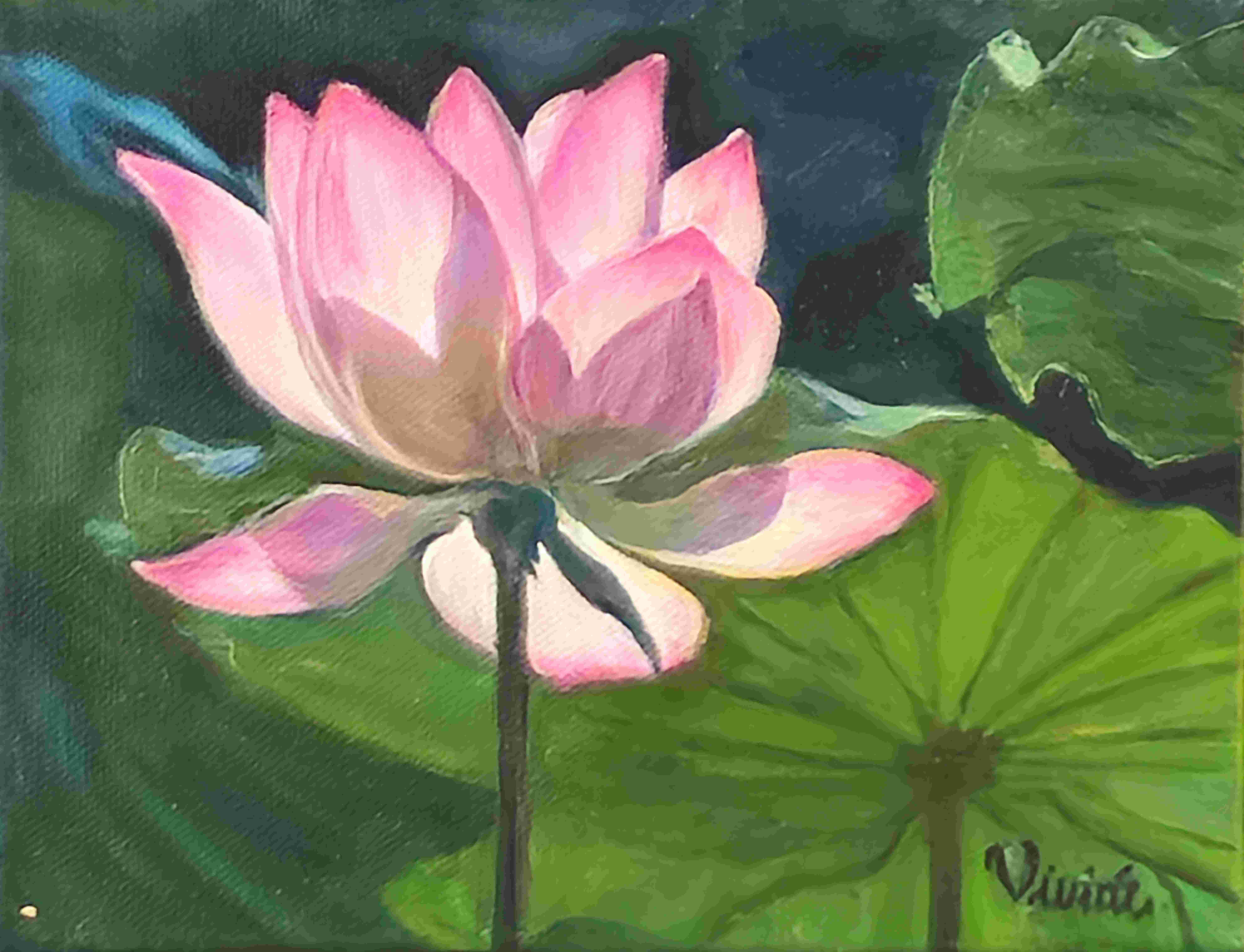 Rebirth of Nature